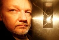 julian assange court cases