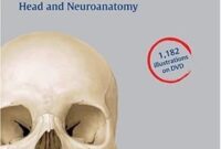 atlas of anatomy. head and neuroanatomy