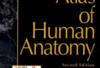 atlas of anatomy 2nd edition pdf