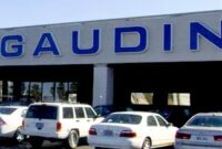 gaudin ford las vegas service