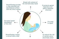 breastfeeding benefits for mother