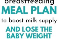 breastfeeding diet plan