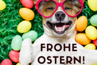 bilder ostern lustig