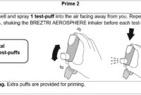 breztri dose instructions