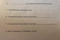 a substance reactant that an enzyme acts upon