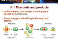 substances produced in a chemical reaction