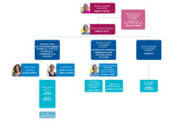 organigramme de la ville de marseille