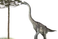 brachiosaurus bilder