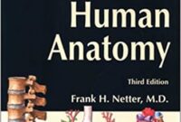 atlas of human anatomy 8th edition free