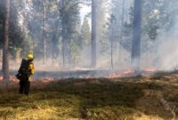 cal fire prescribed fire