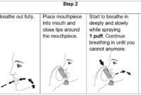 breztri dosing instructions