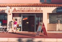 agence le tuc immobilier