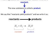 the starting substances in a reaction