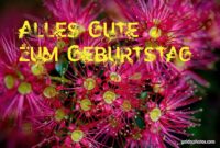 schöne geburtstagsbilder