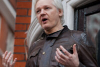 what did julian assange release