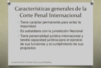 la corte penal internacional funciones