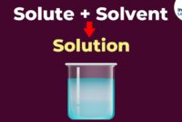 substance that dissolves in solution called