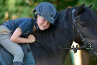 lustige pferde videos für kinder