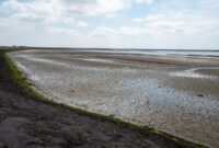 grevelingenmeer zeeland