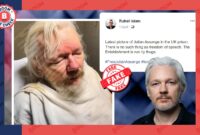 julian assange most recent news