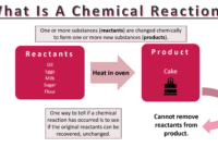 substance created during a chemical reaction