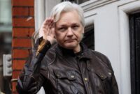 julian assange case summary