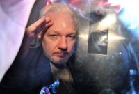 julian assange hearing 2024