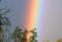 schöne regenbogen bilder