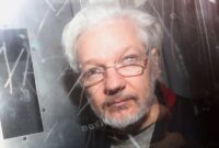 julian assange case