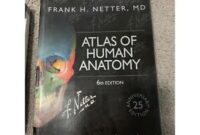 atlas of human anatomy latest edition