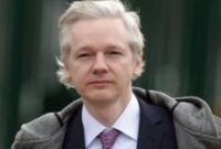 what has julian assange done