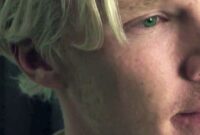 julian assange movie benedict cumberbatch