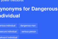 dangerous synonyms words