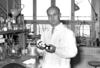 albert hoffman discovered lsd