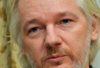 why did julian assange make wikileaks