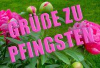 kostenlose bilder pfingsten