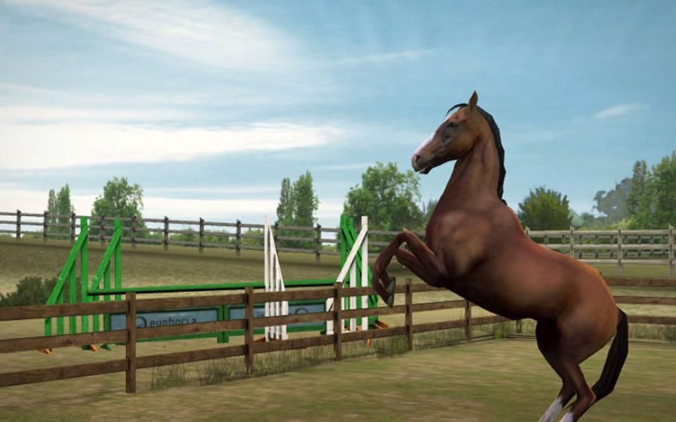 My Horse kostenlos spielen | Sat1Spiele