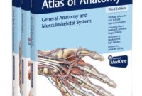 thieme atlas of anatomy