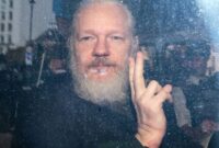 what documents did julian assange leak