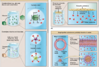 molecules that dissolve in water are called