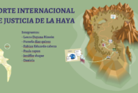 corte internacional de la haya