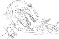 t rex ausmalbild