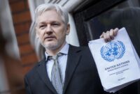 why is julian assange in custody