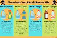 the chemicals created in a reaction