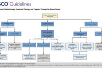 breast cancer treatment options systems