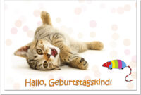 geburtstag bilder mit katze