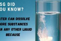 each substance that dissolves in water