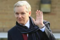 julian assange bbc news
