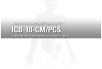 breast cancer icd 10 pcs