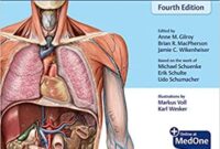 thieme atlas of anatomy pdf download